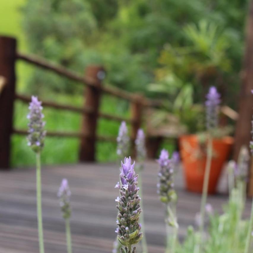 Refugio Horse Villa ซานโต อังตัวนิโอ โด ปิงญัล ภายนอก รูปภาพ